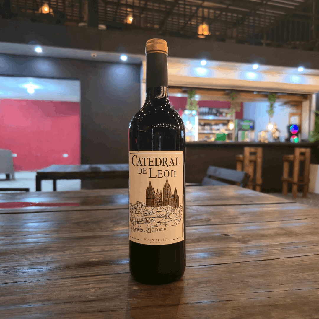 Catedral de León